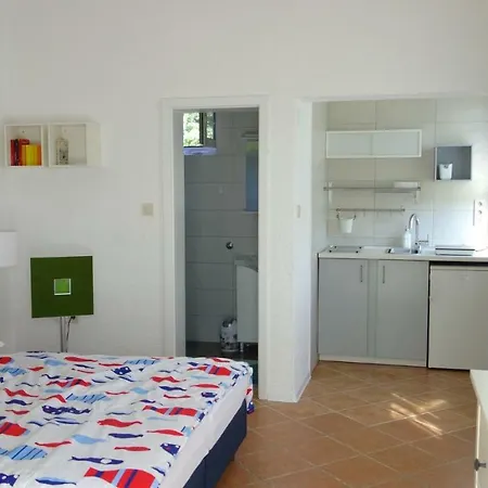 Apartment Stancija Vergotini